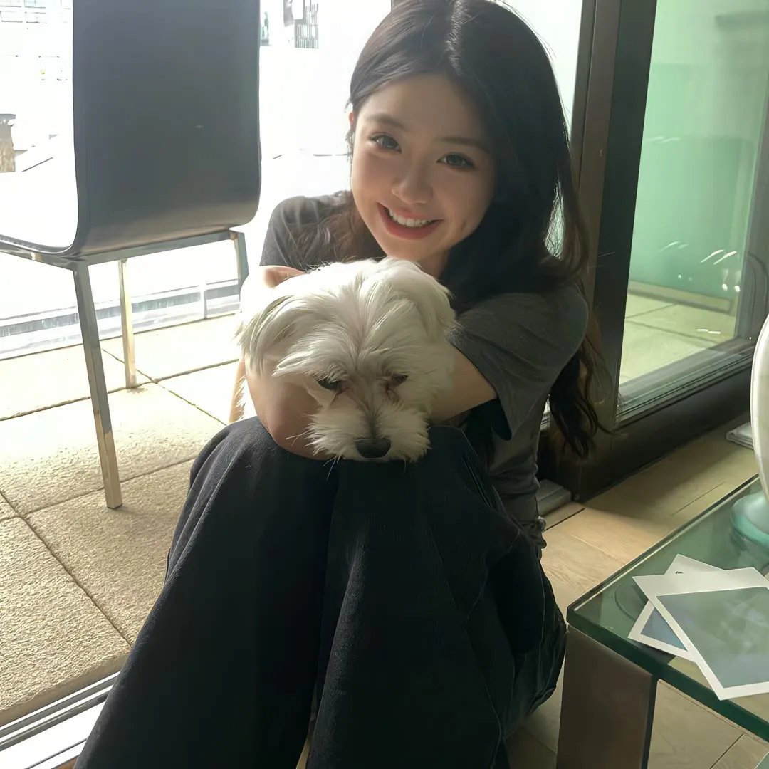 麦田里的反叛者