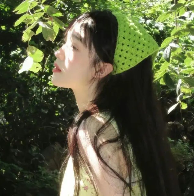 迷雾丛林